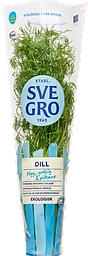Dill Eko