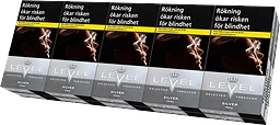 Level Silver 100s 10-pack
