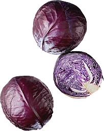 Rödkål Eko