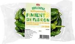 Pimiento de padron Klass 1