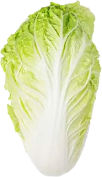 Salladskål