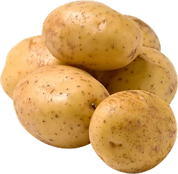 Potatis Fast ca 100g tvättad Klass 1