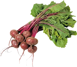 Rödbeta knippe ca 400g Klass 1 ICA