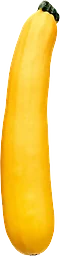 Zucchini Gul ca 360g Klass 1