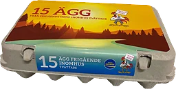 Ägg 15-pack Frigående inomhus 