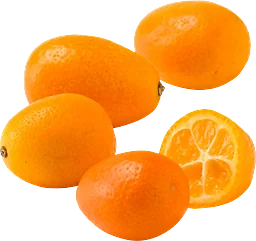 Kumquat ca Klass 1 ICA