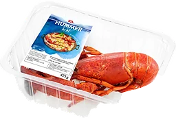 Hummer 425g ICA
