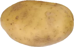 Potatis Mjölig