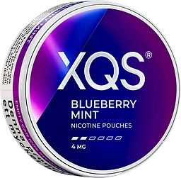 XQS Blueberry Mint Light 4mg 10g
