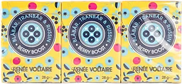 Berry Boost Blåbär 28g 6-p Renée Voltaire
