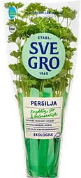 Persilja i kruka Ekologisk 1-p Svegro