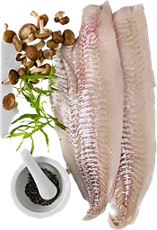 Koljafilé
