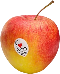 Äpple Pinova Klass 1