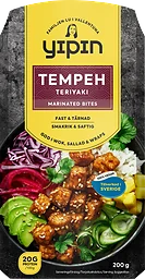 Tempeh Teriyaki 