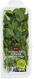 Mynta EKO 20g Hällnäs Handelsträdgård