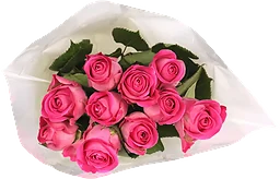 Rosor 10-p 40cm Fairtrade rosa ICA