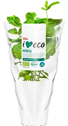 Mynta Ekologisk 1-p KRAV Klass 1 ICA I love eco