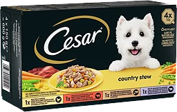 Hundmat Våtfoder Blandade Smaker 4-p 600g Cesar