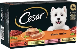 Classic Terrine Hundmat Våt 4-pack