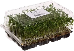 Krasse 100g Klass 1 ICA