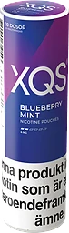 XQS Blueberry Mint 4 mg 10-pack
