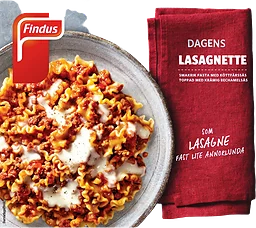 Lasagnette 380g Findus