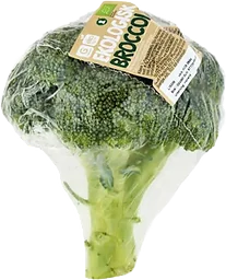 Broccoli Eko
