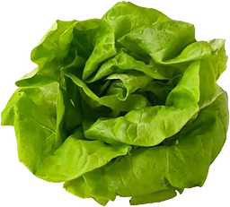 Huvudsallad ca 200g Klass 1 ICA