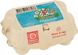 Ägg 6-pack Medelstora 318g Doteägg