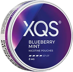 XQS Blueberry Mint Strong 10g