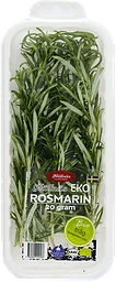 Rosmarin EKO 20g Hällnäs Handelsträdgård