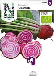 Rödbeta Chioggia Organic