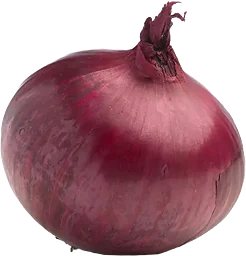 Lök Röd