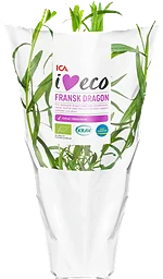 Fransk dragon Ekologisk 1-p KRAV Klass 1 ICA