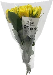 Rosor 10-p 35cm gula ICA