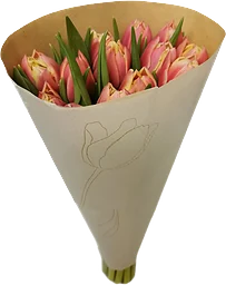 Tulpaner dubbelblommande  12-p varierande färger