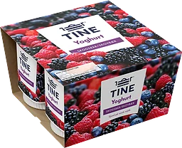 Yoghurt Skogsbär 4-p 600g Tine