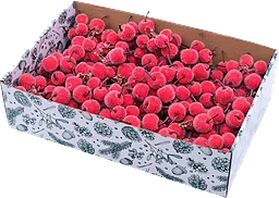 Äpple 2cm, röd i knippe Festive