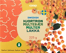 Hjortron