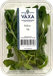 Salvia Färsk 15g Växa odling i Sverige