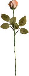 Konstväxt Ros Rosa