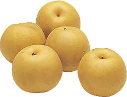 Päron Nashi
