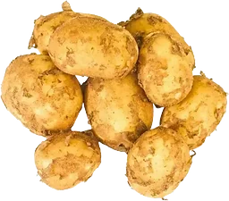 Färskpotatis OBS Vikt