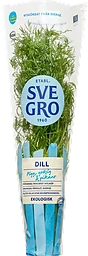 Dill i kruka Ekologisk 1-p KRAV Svegro