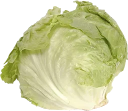 Sallad Isberg
