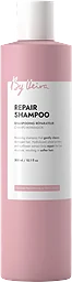 Schampo Repair 300ml By Veira
