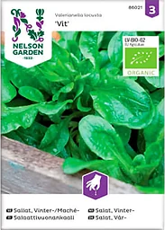 Sallat Maché Vinter Vit Organic 1-p Nelson Garden