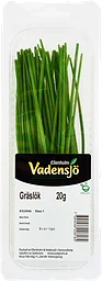 Gräslök Ask