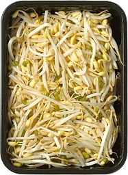Böngroddar 