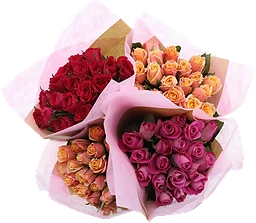 Rosor 20 pack 40 cm